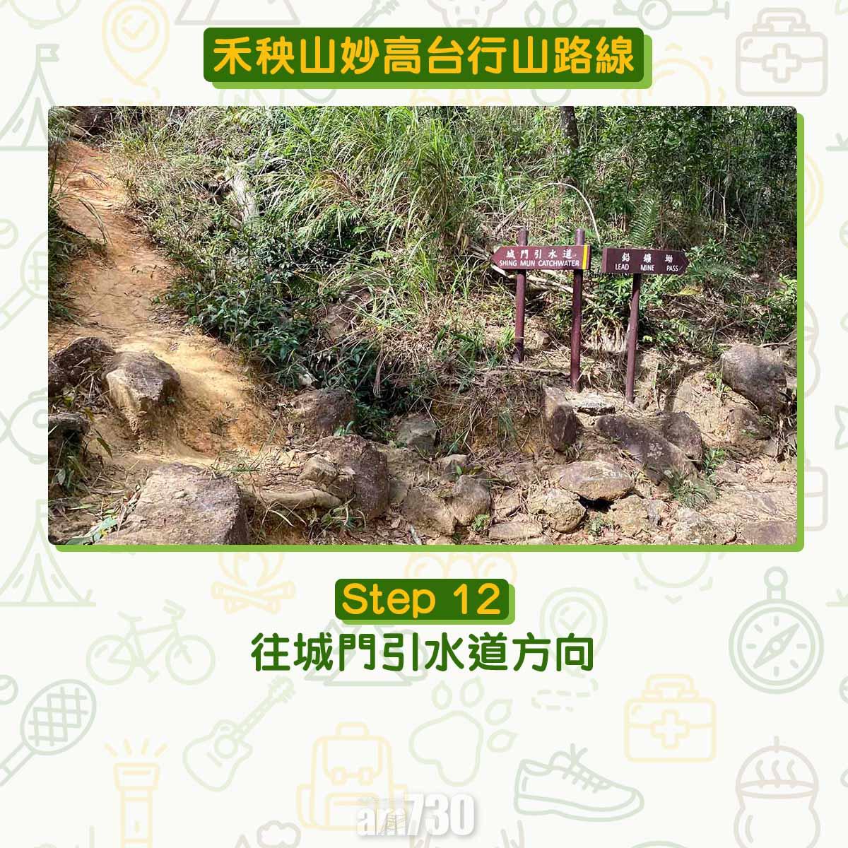 禾秧山芒草行山路線