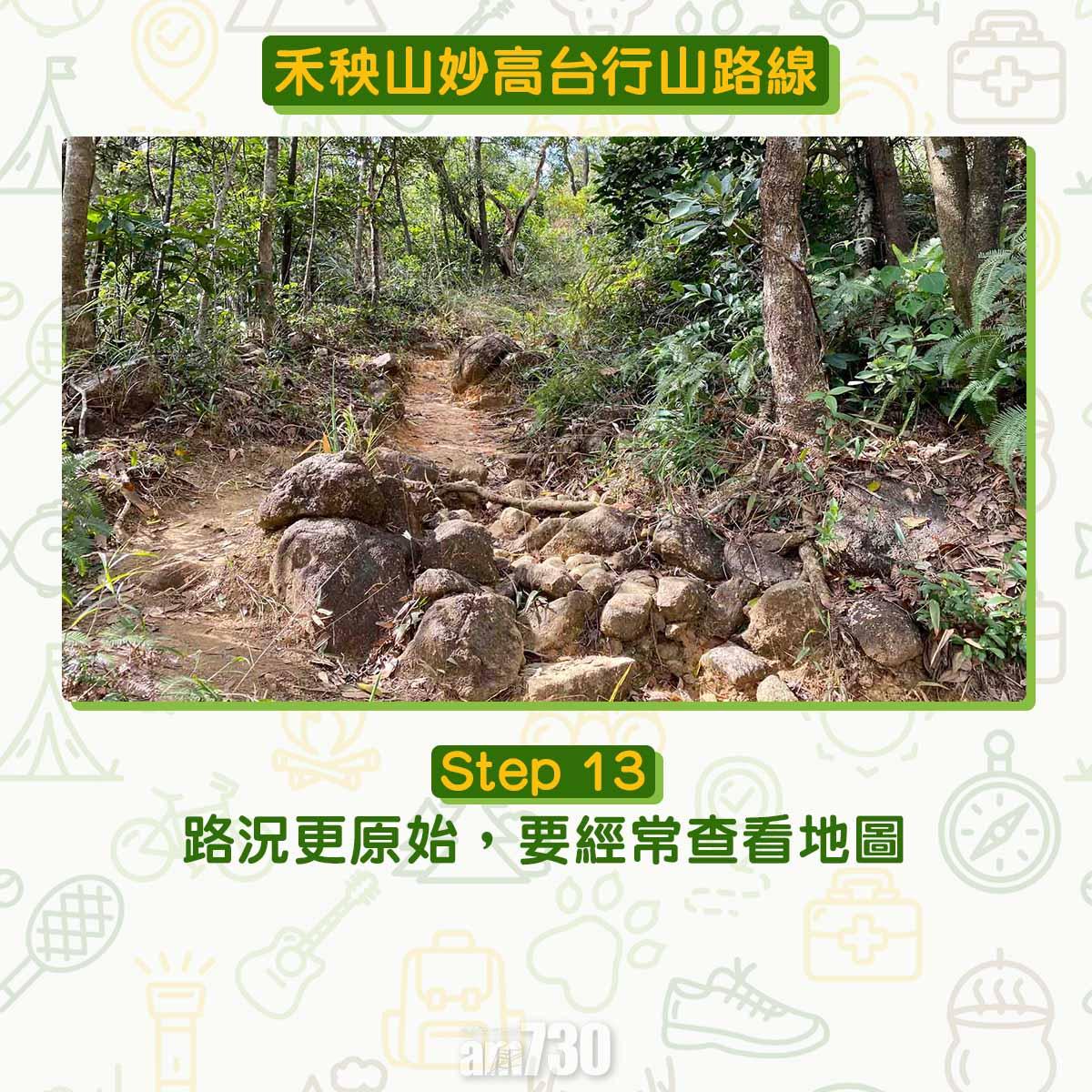 禾秧山芒草行山路線