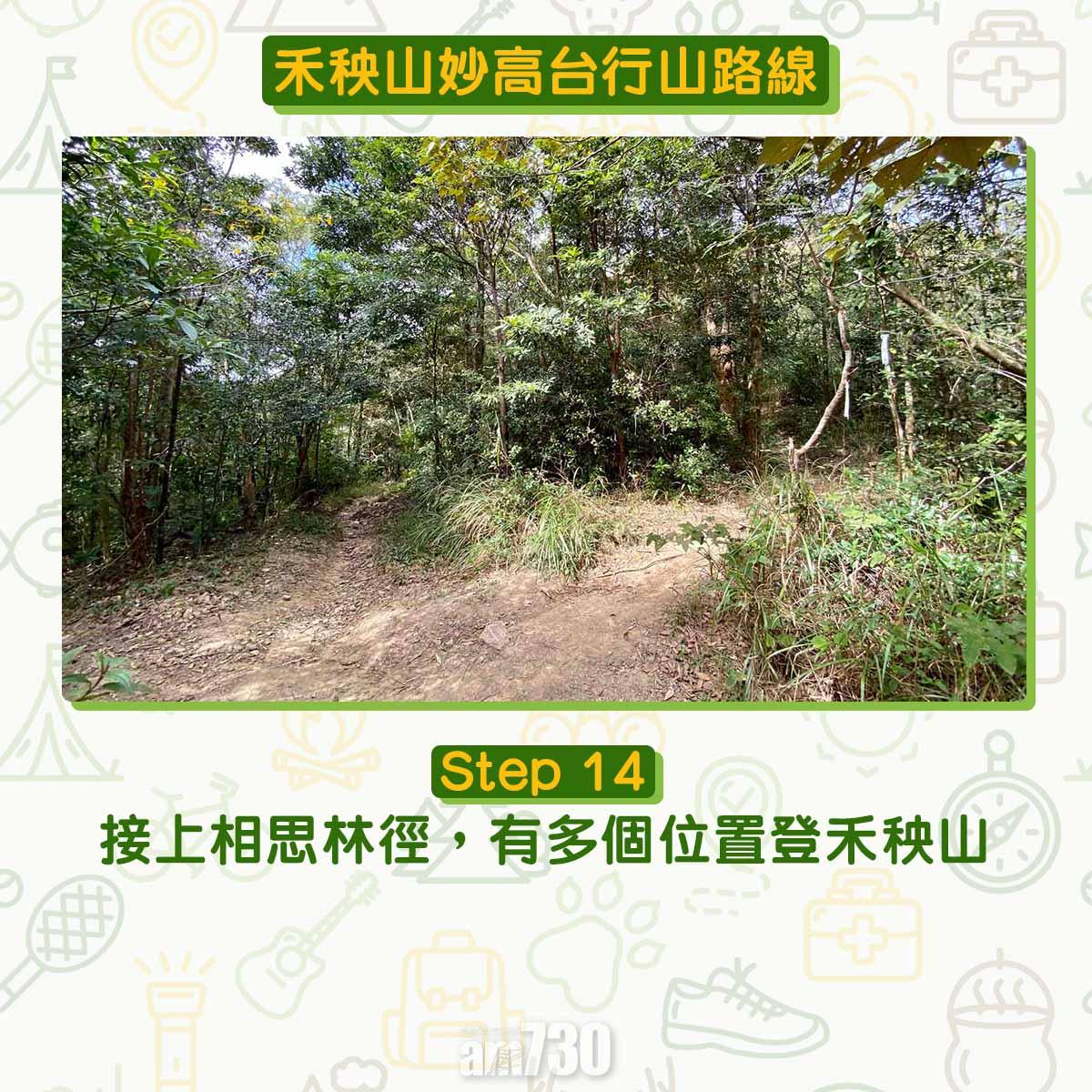 禾秧山芒草行山路線