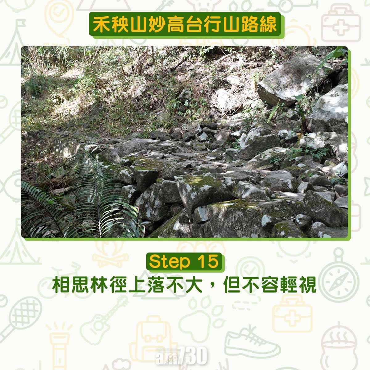 禾秧山芒草行山路線
