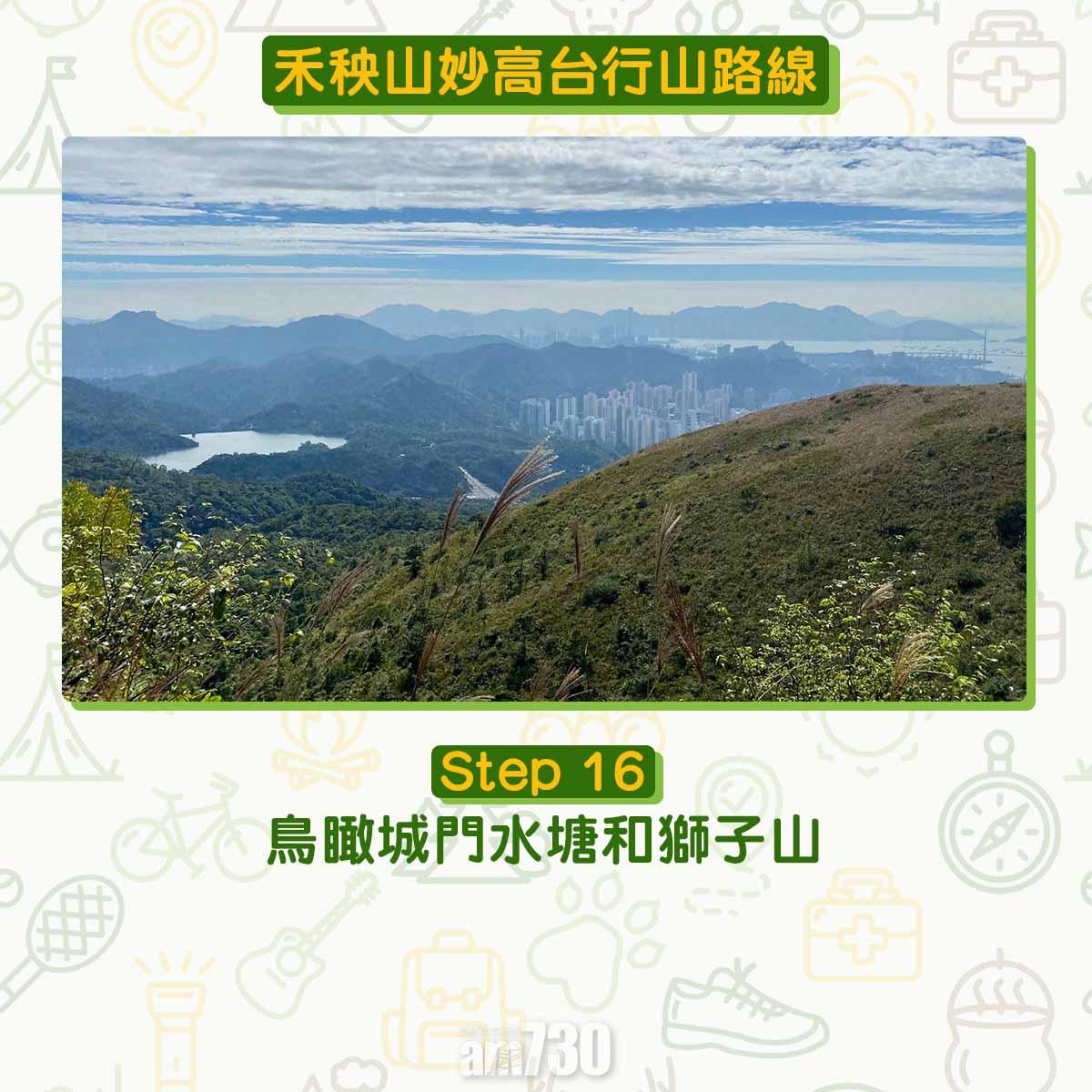 禾秧山芒草行山路線