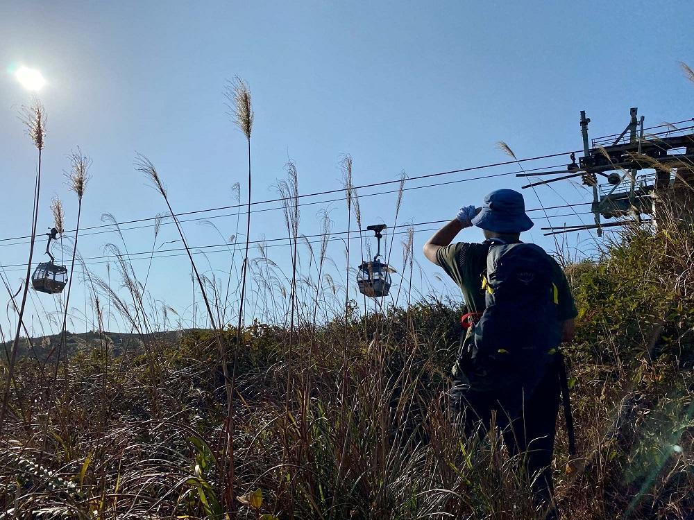 彌勒山芒草行山路線