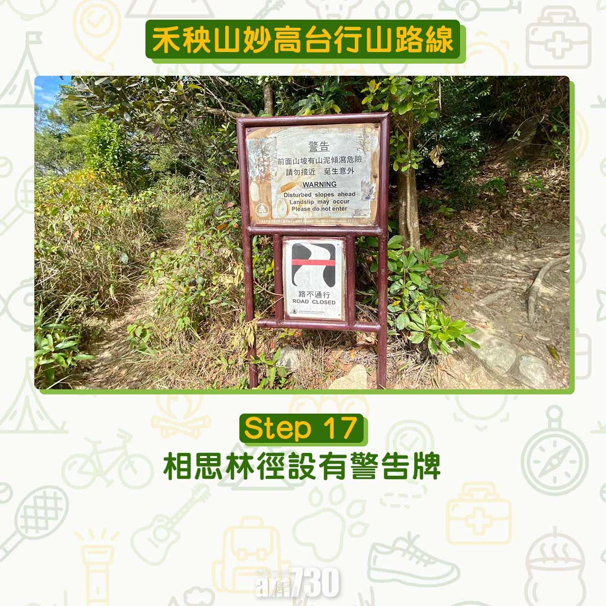 禾秧山芒草行山路線