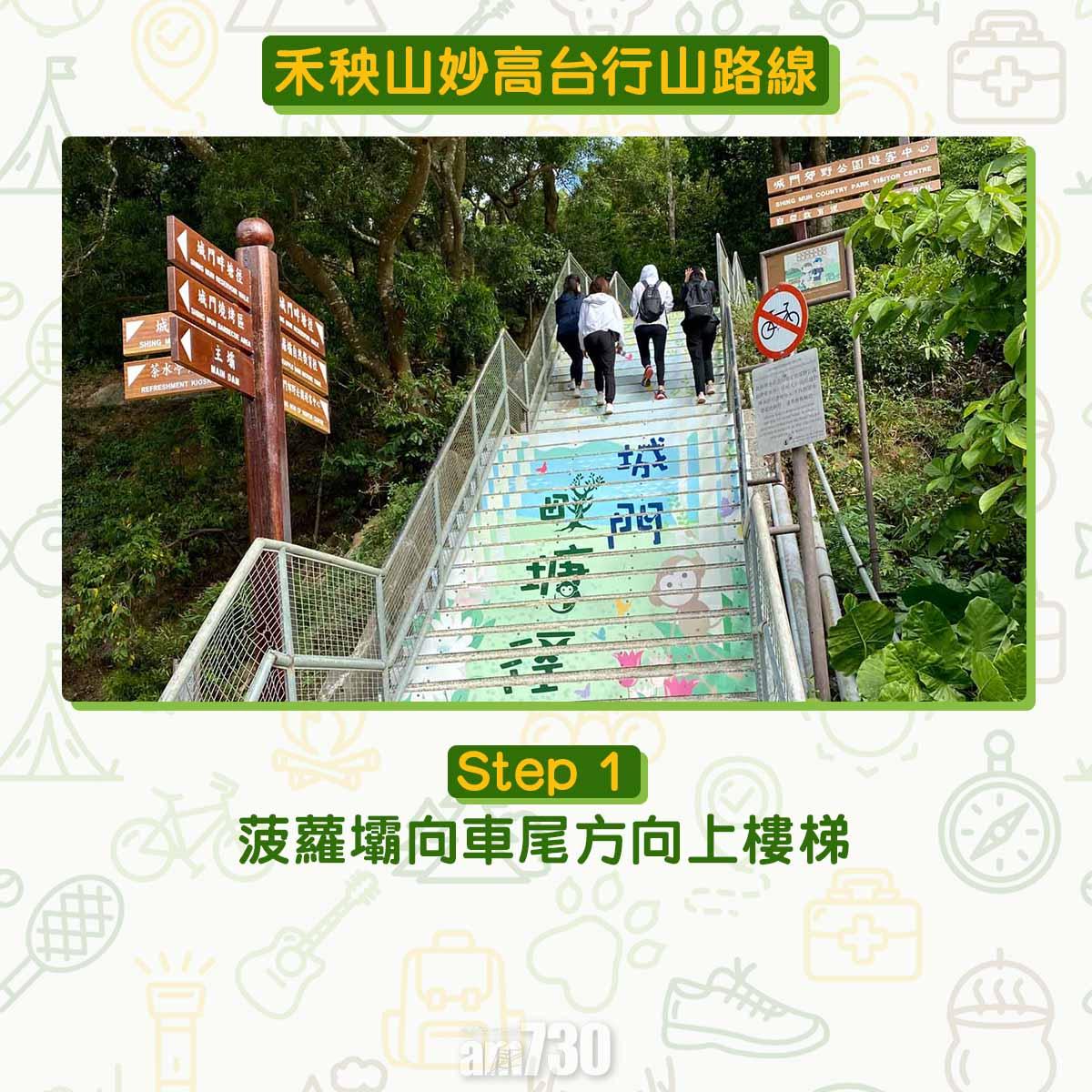 禾秧山芒草行山路線