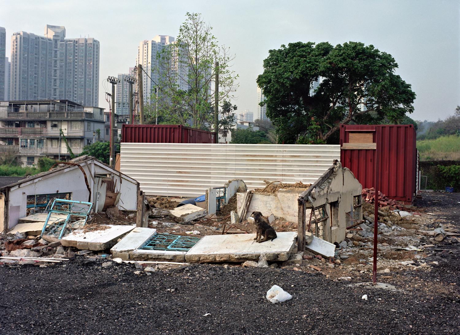 城市變奏|比對舊香港照片展延期至10月22日