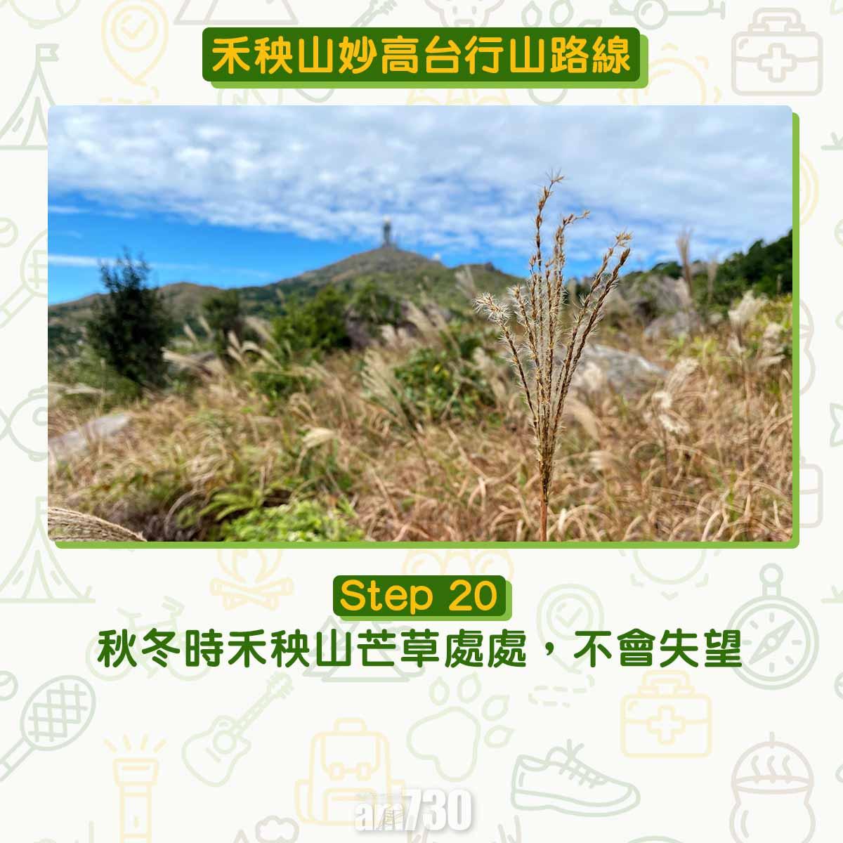禾秧山芒草行山路線