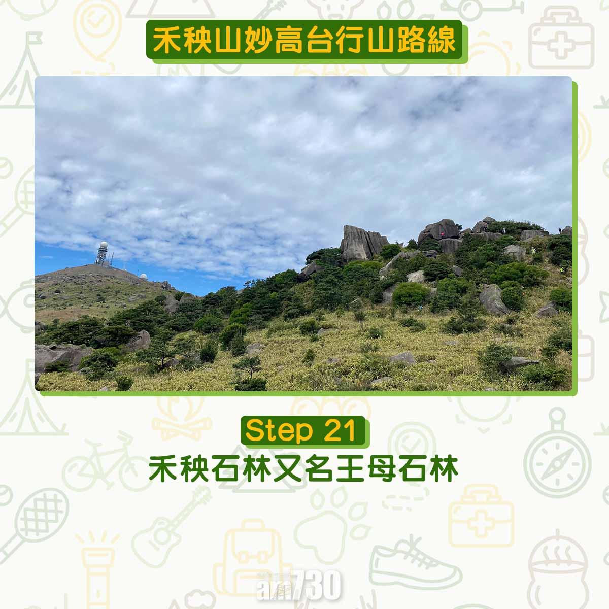 禾秧山芒草行山路線