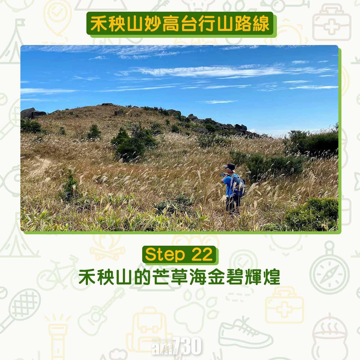 禾秧山芒草行山路線