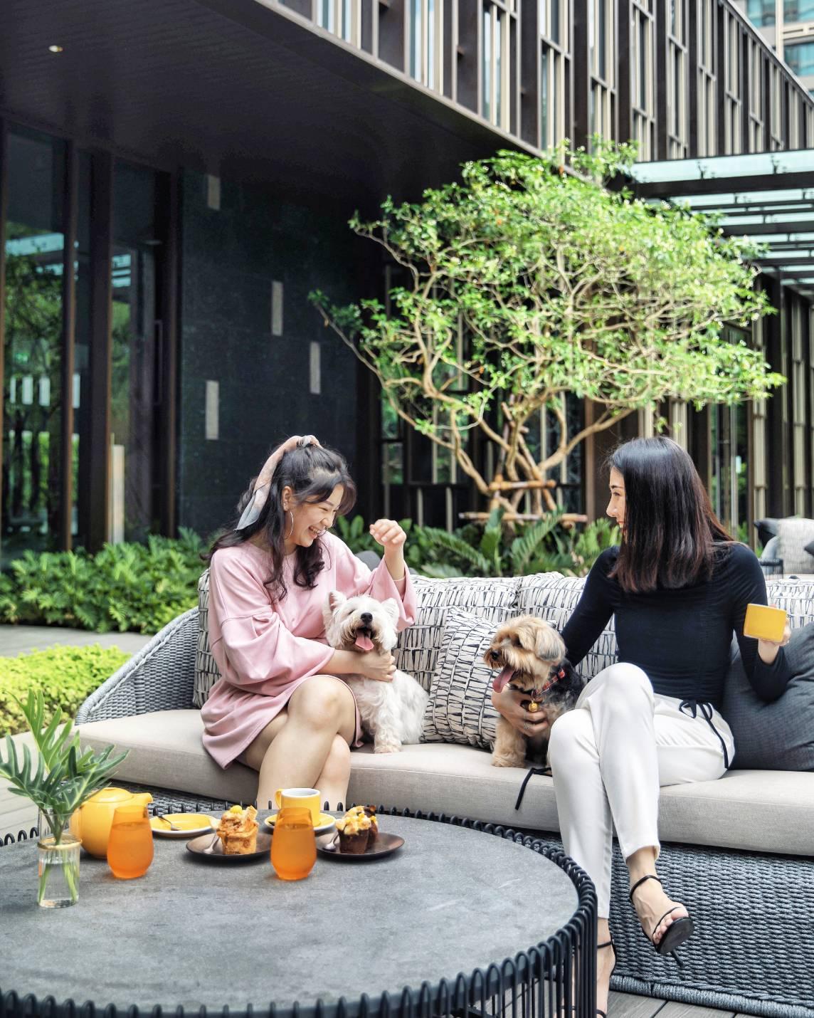 酒店歡迎攜帶寵物一齊入住。