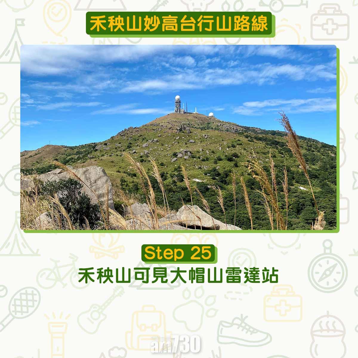 禾秧山芒草行山路線