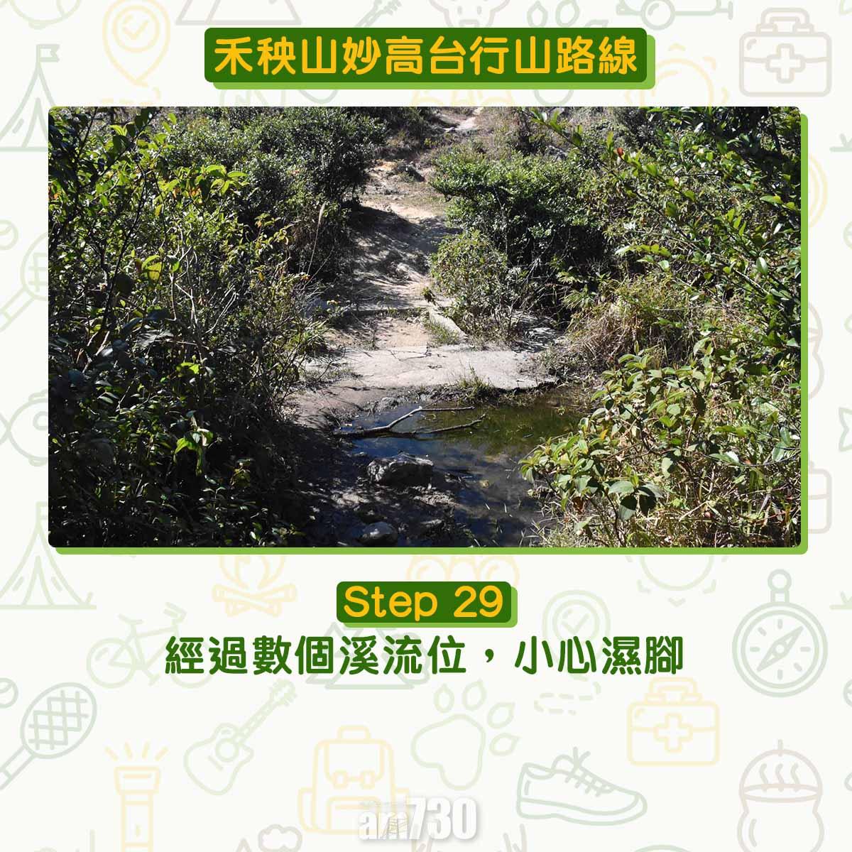 禾秧山芒草行山路線