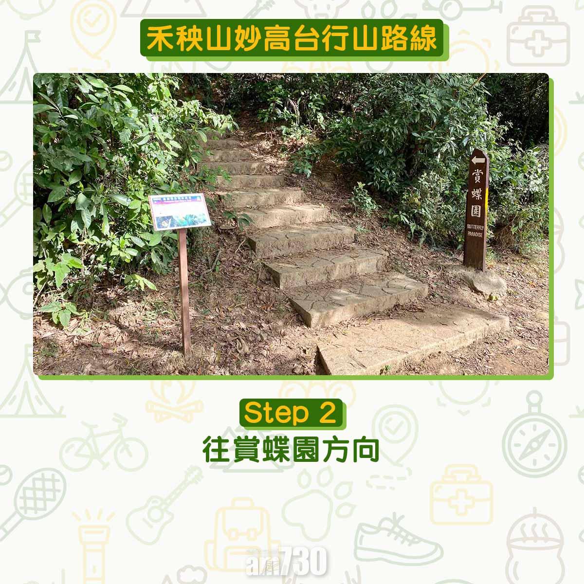 禾秧山芒草行山路線