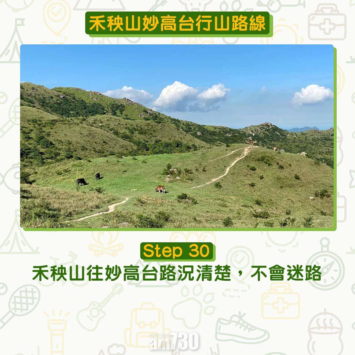 禾秧山芒草行山路線