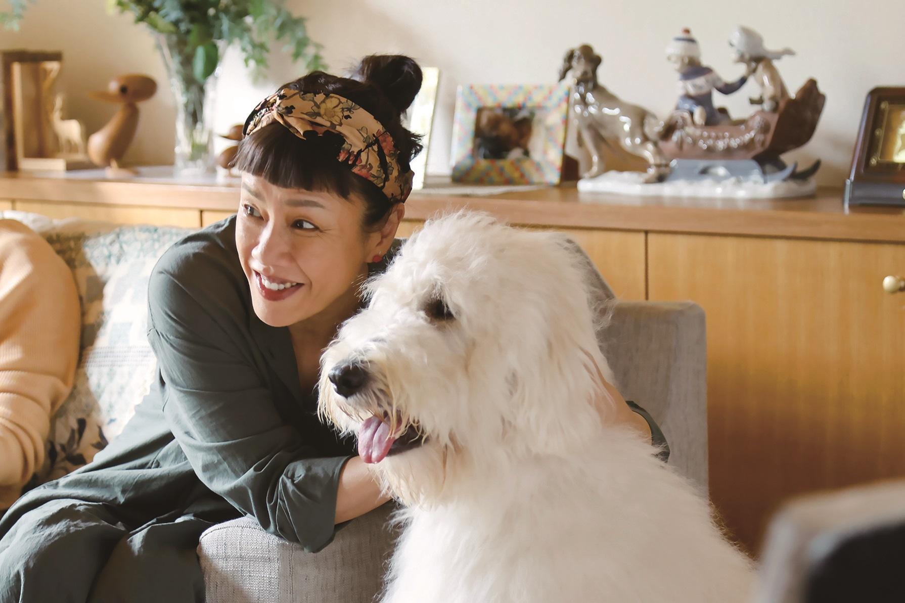 Haw展開流浪之旅,途上遇到不同的人。(《好狗不見了Haw》劇照)