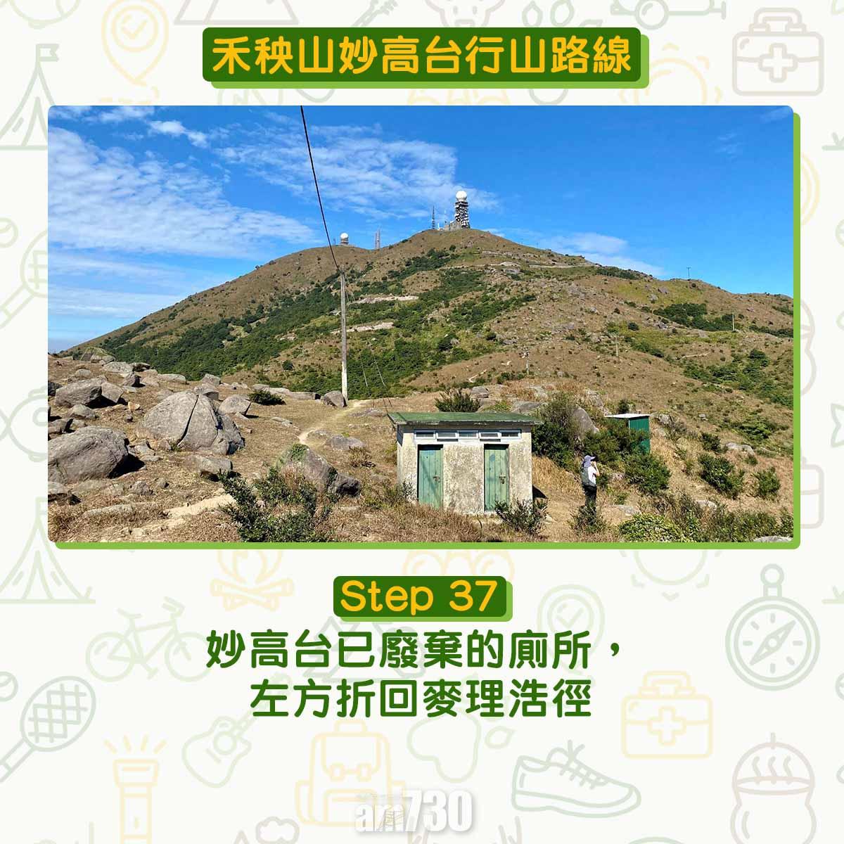 禾秧山芒草行山路線