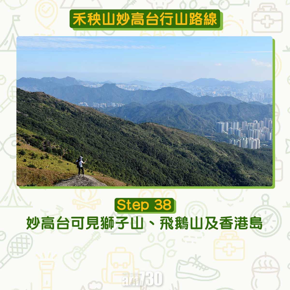 禾秧山芒草行山路線