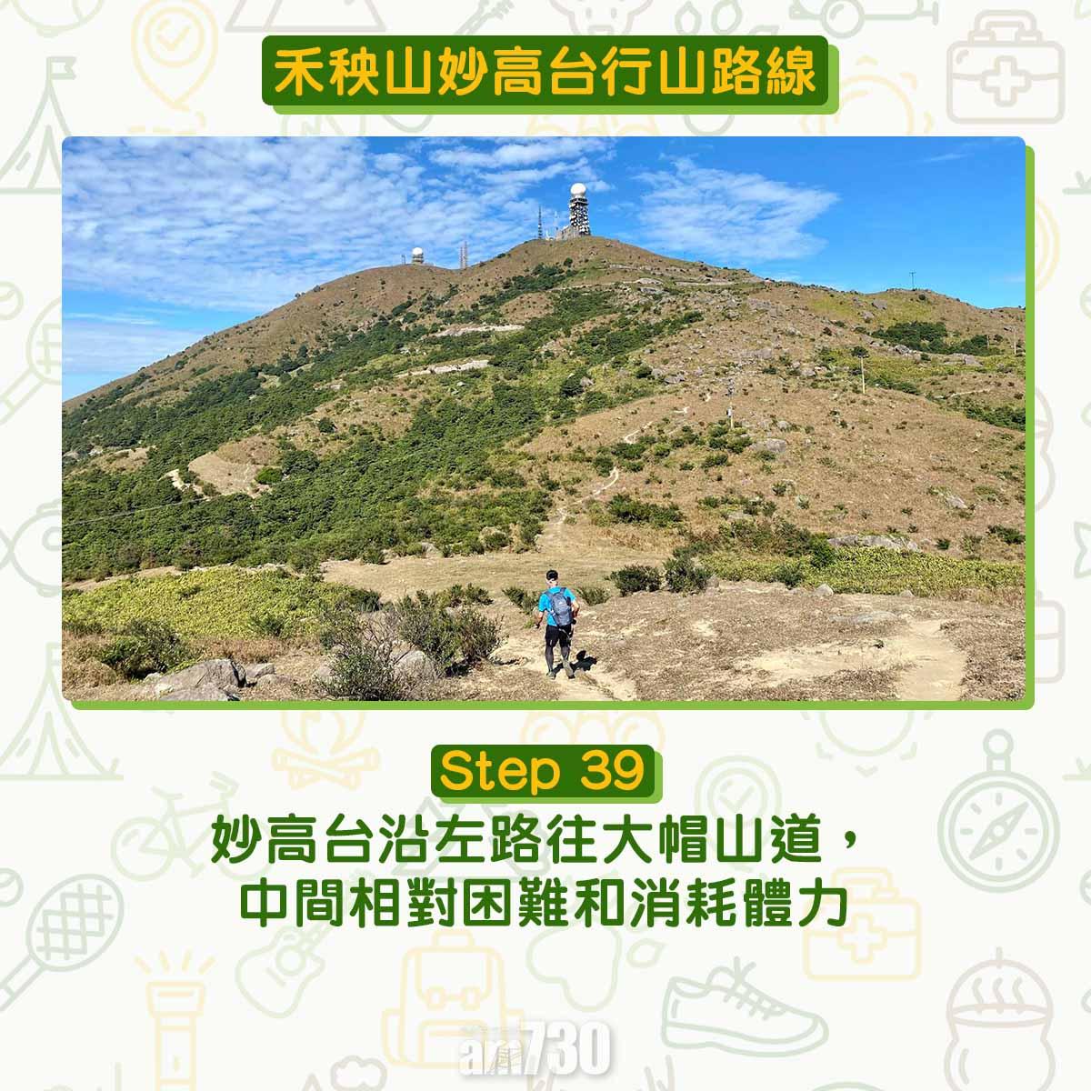 禾秧山芒草行山路線