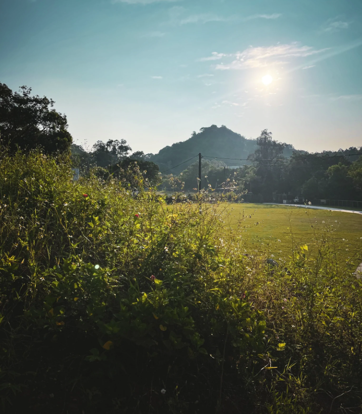 Autocamper 紅花嶺 北歐精靈村-熊帳