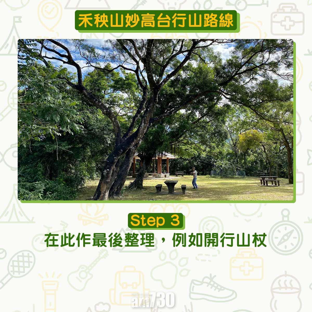 禾秧山芒草行山路線