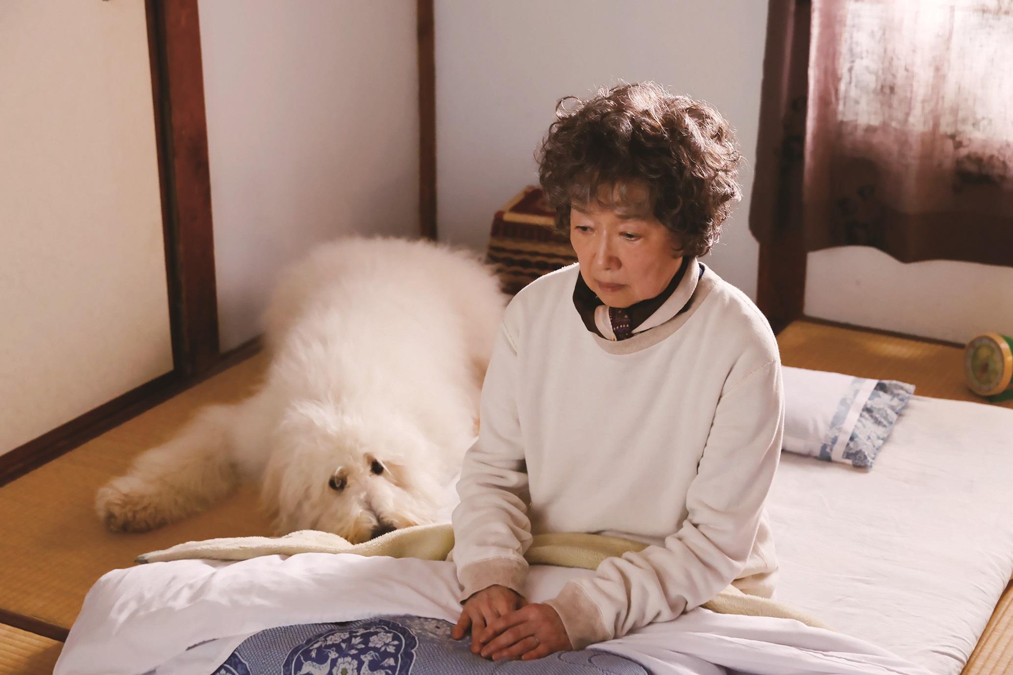 Haw展開流浪之旅,遇到丈夫已去世的雨傘店老闆娘婆婆。(《好狗不見了Haw》劇照)