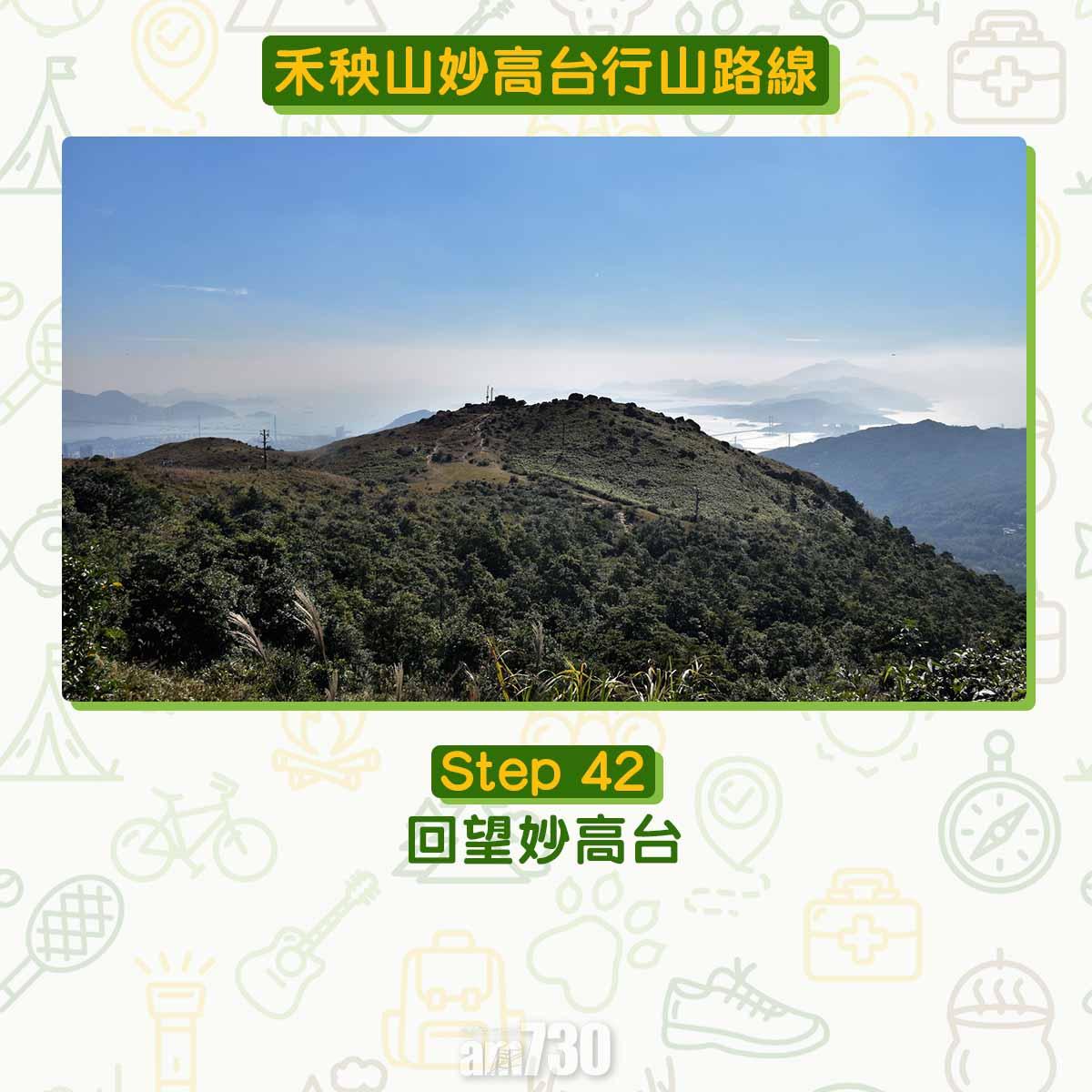 禾秧山芒草行山路線