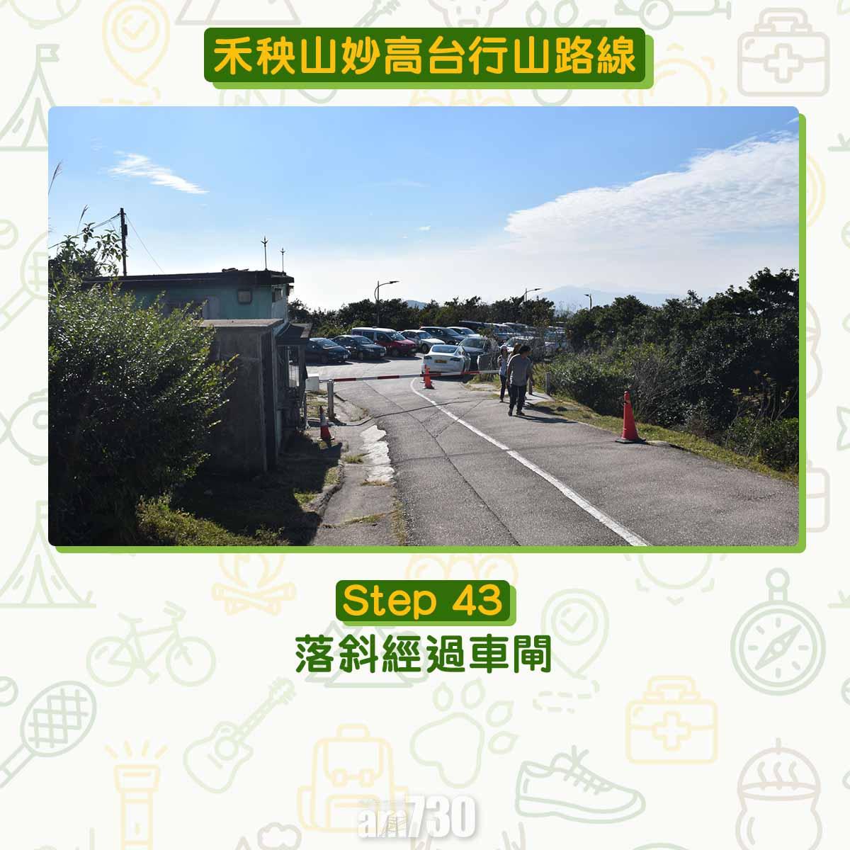 禾秧山芒草行山路線