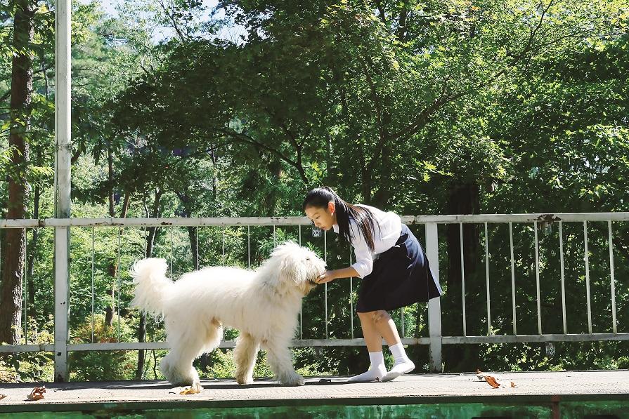 Haw的女主人因家暴而遺棄牠。(《好狗不見了Haw》劇照)