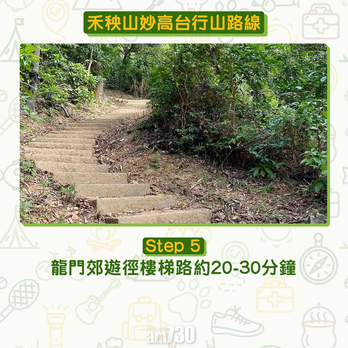 禾秧山芒草行山路線