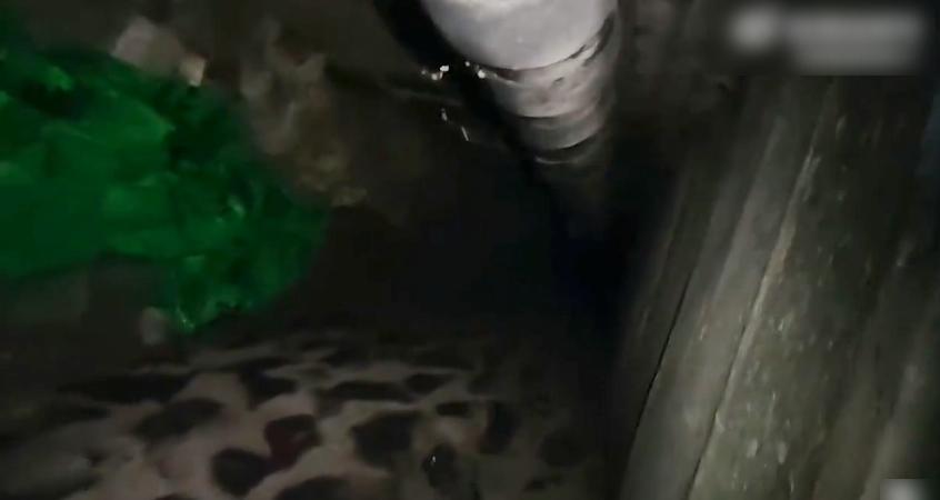 涉事大學生打開地道木板蓋後,發現裡面有一條管道。(互聯網)