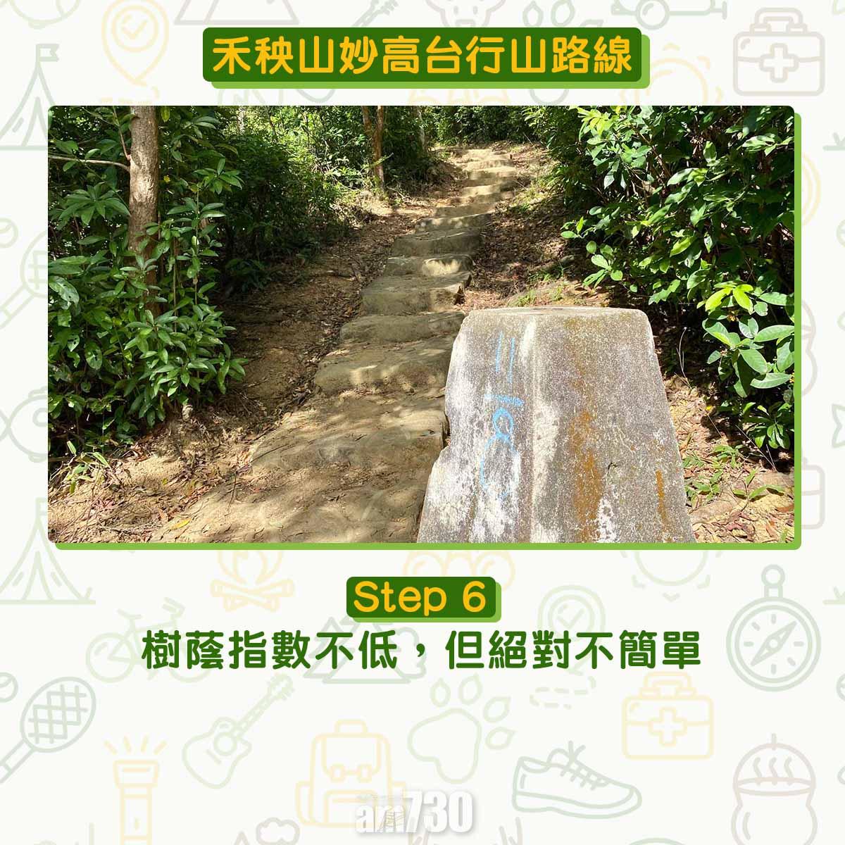 禾秧山芒草行山路線