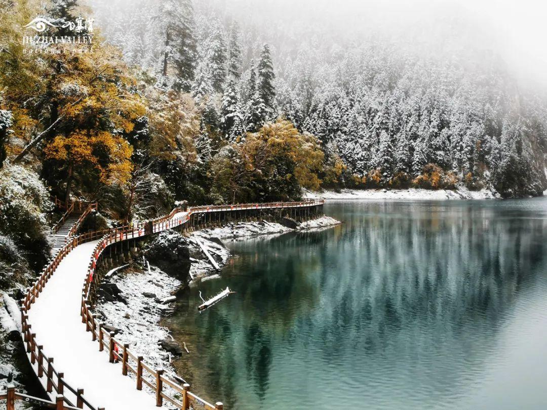 國慶假期最後一天,九寨溝落下今秋初雪,美麗景色恍如童話世界。(九寨溝管理局微博)