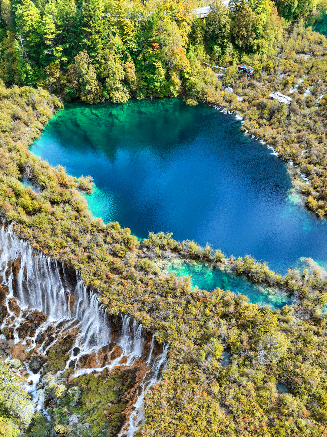 秋天的九寨溝美不勝收,但國慶期間只得211人遊覽。(九寨溝管理局微博)