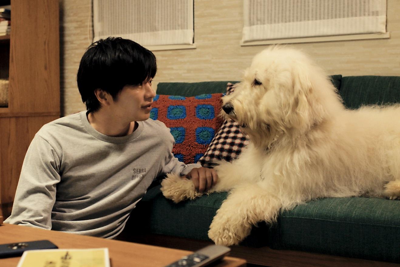 民夫(田中圭)在狗義工的朋友手上遇上了Haw。