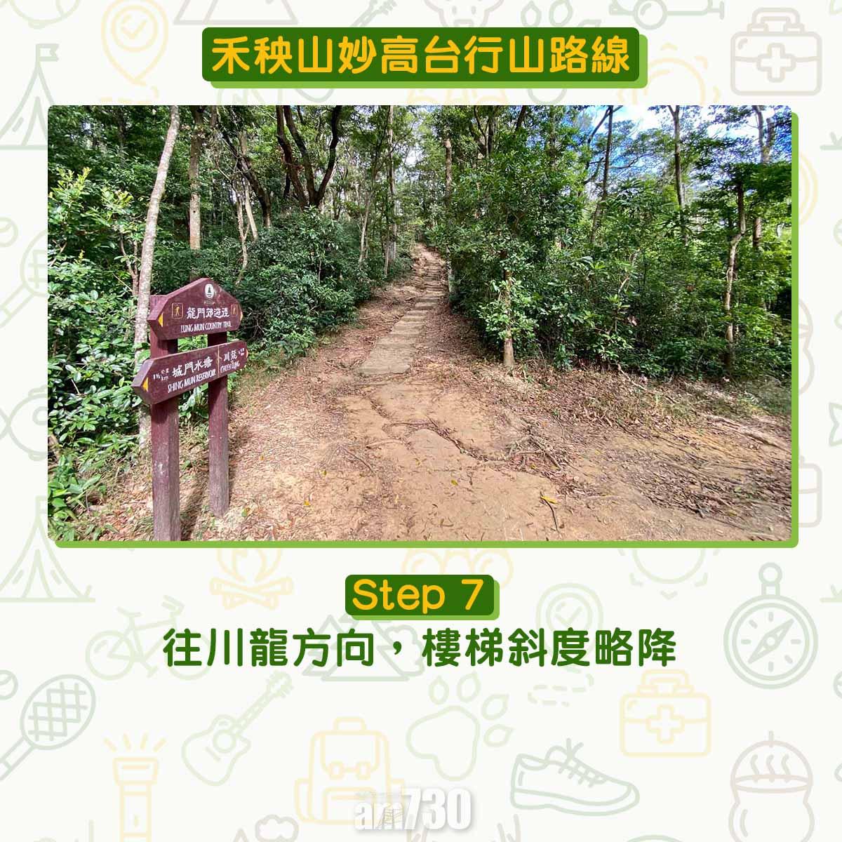禾秧山芒草行山路線