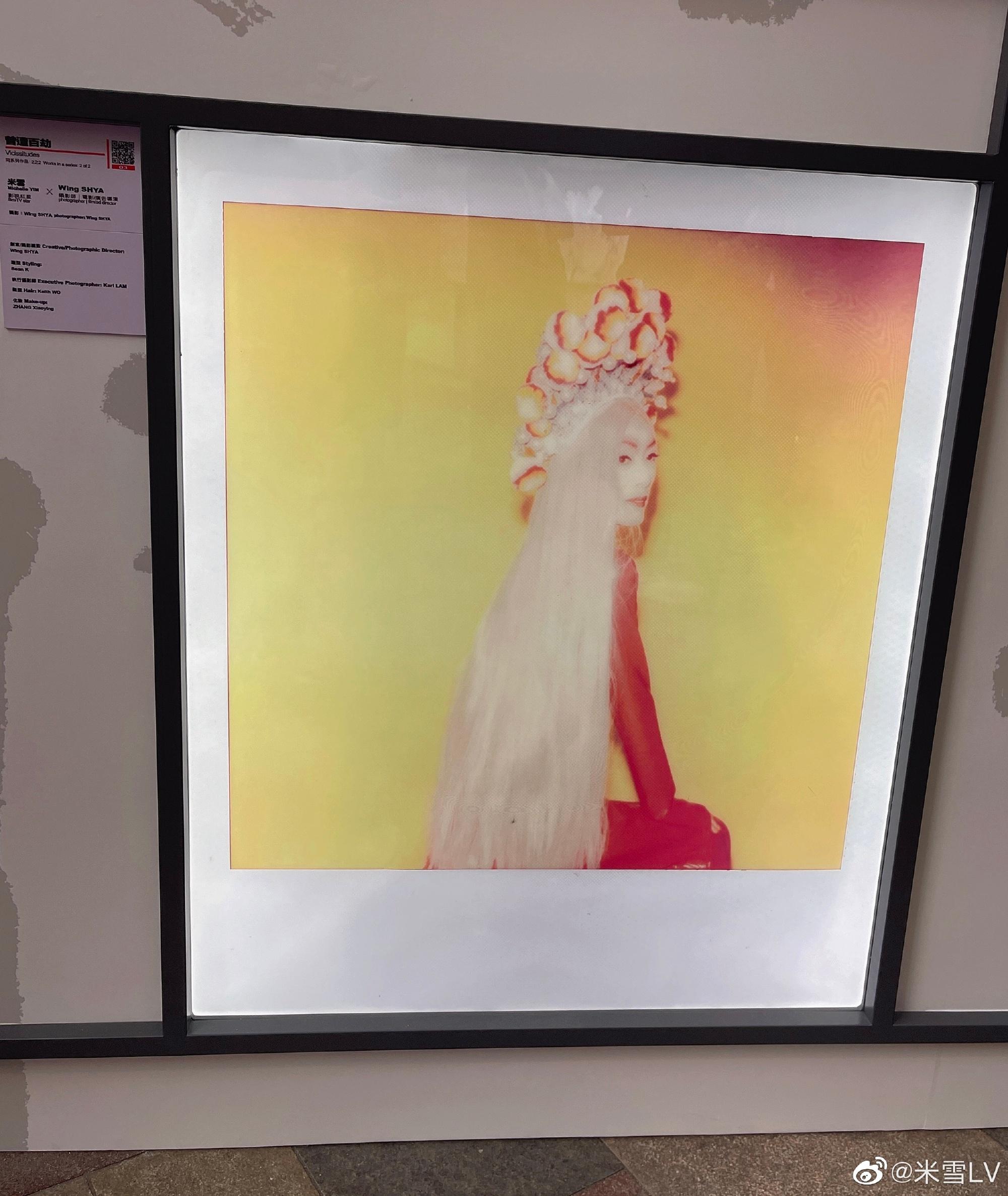 米雪新版的長平公主。