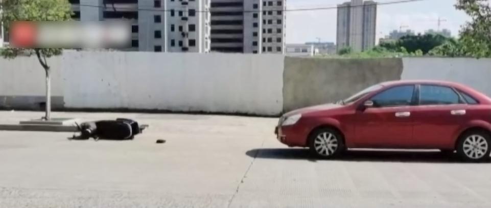 徐男駕車將張男撞倒後報警。(互聯網)