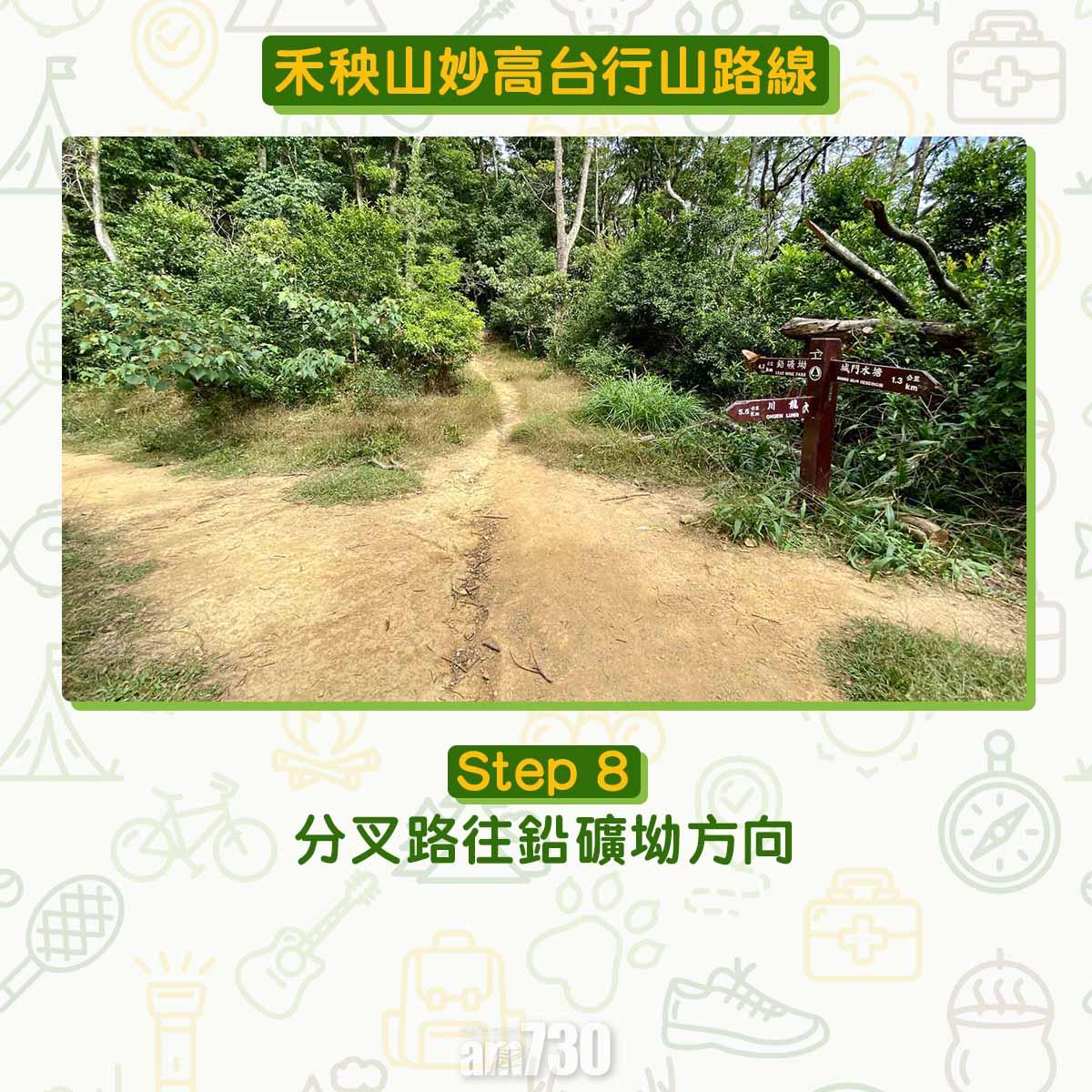 禾秧山芒草行山路線