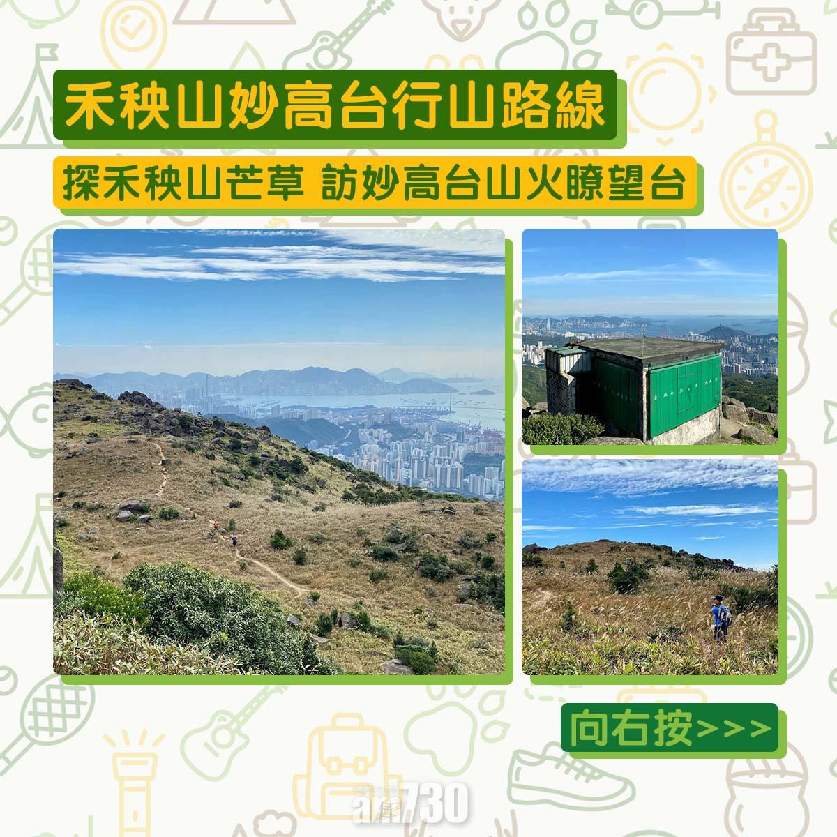 禾秧山芒草行山路線