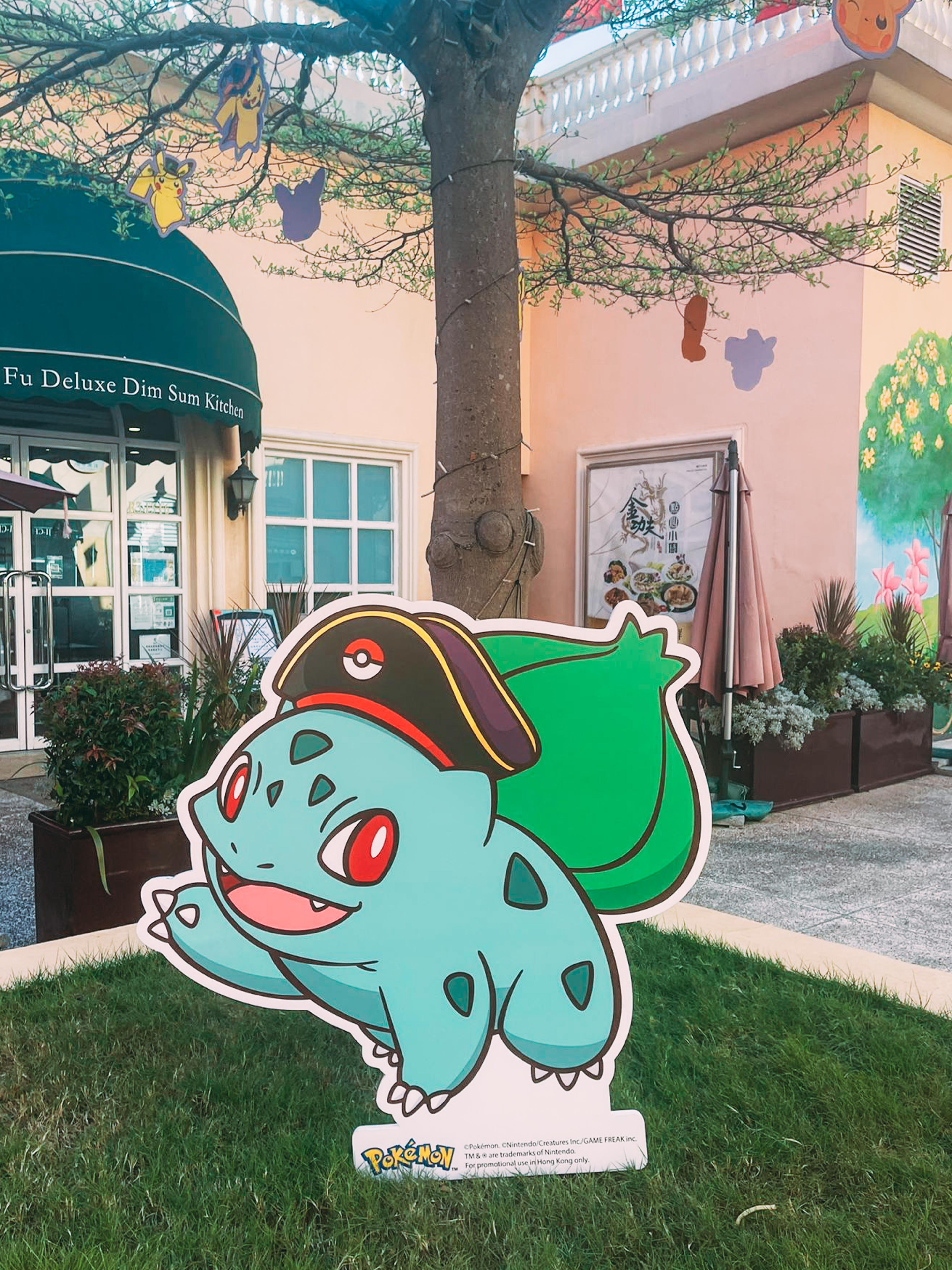 Pokémon神秘出沒 奇異種子