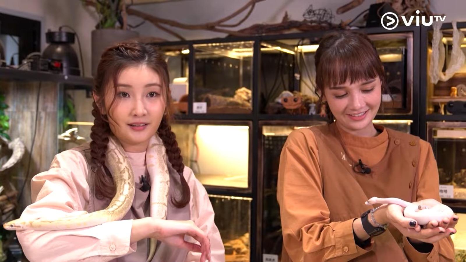 喜愛蛇蟲鼠蟻的沈殷怡,獲母親送七彩蛇被單,晚晚「與蛇同眠。」(截圖)