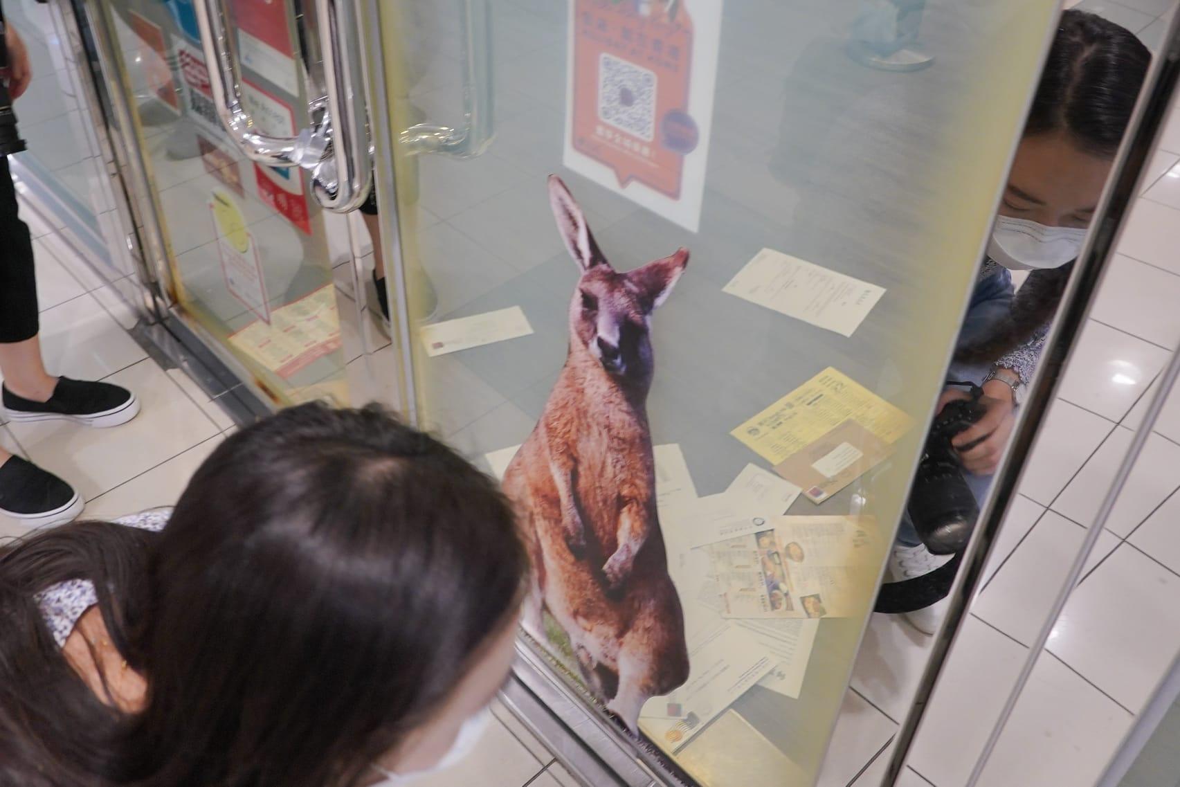 康泰旅行社:公司及門市暫未能如常運作 最小化成本營運至全面通關為止 (李睿哲攝)
