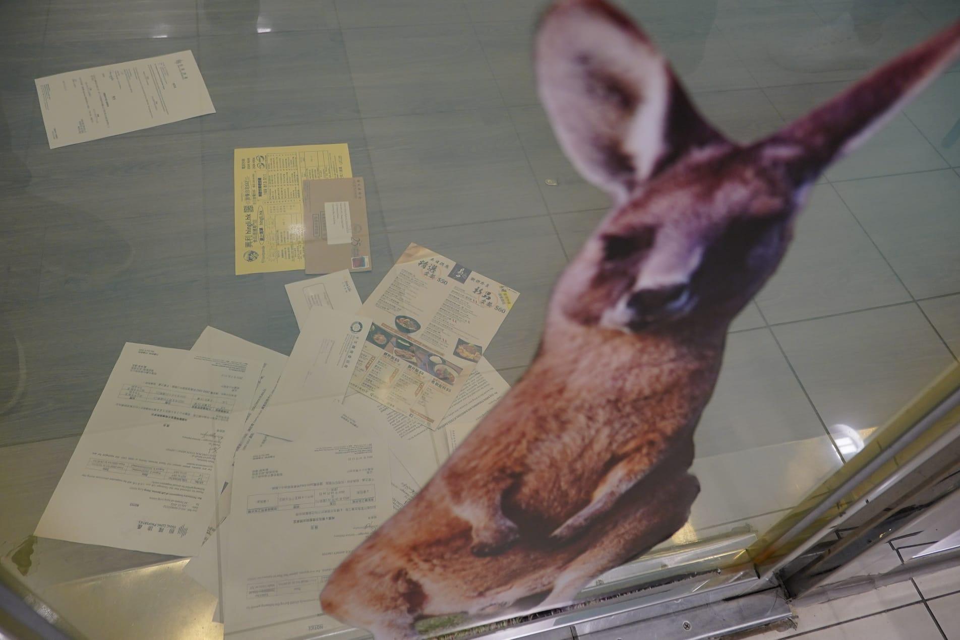 康泰旅行社:公司及門市暫未能如常運作 最小化成本營運至全面通關為止 (李睿哲攝)