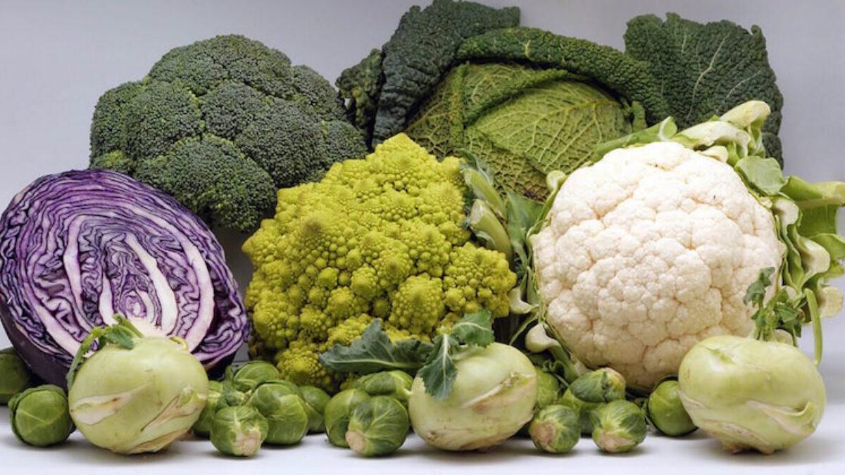 十字花科蔬菜