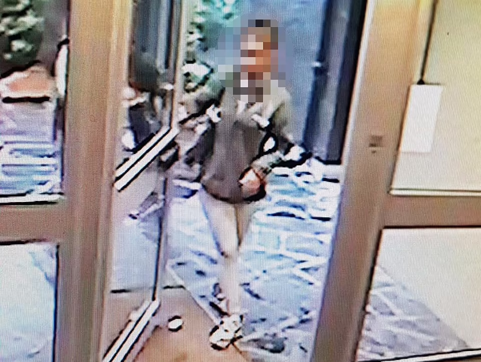 閉路電視拍到24歲疑犯Dahbia B.步入女童寓所大樓。(互聯網)