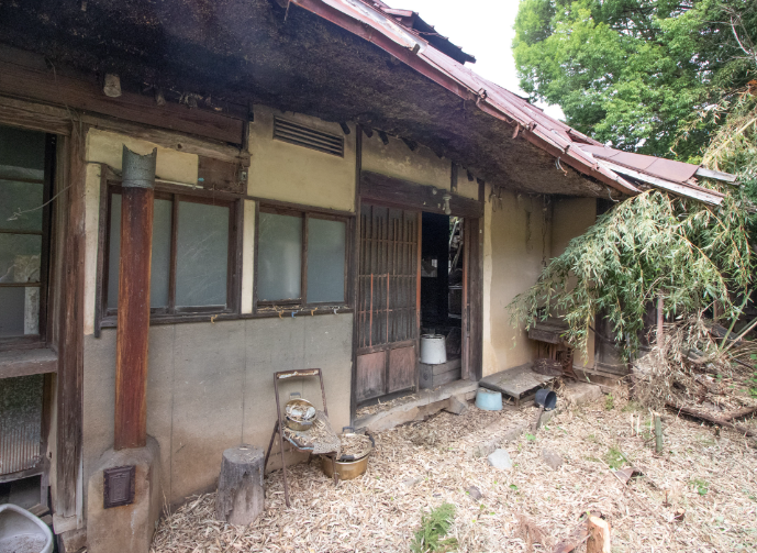 大宅花園。(互聯網)