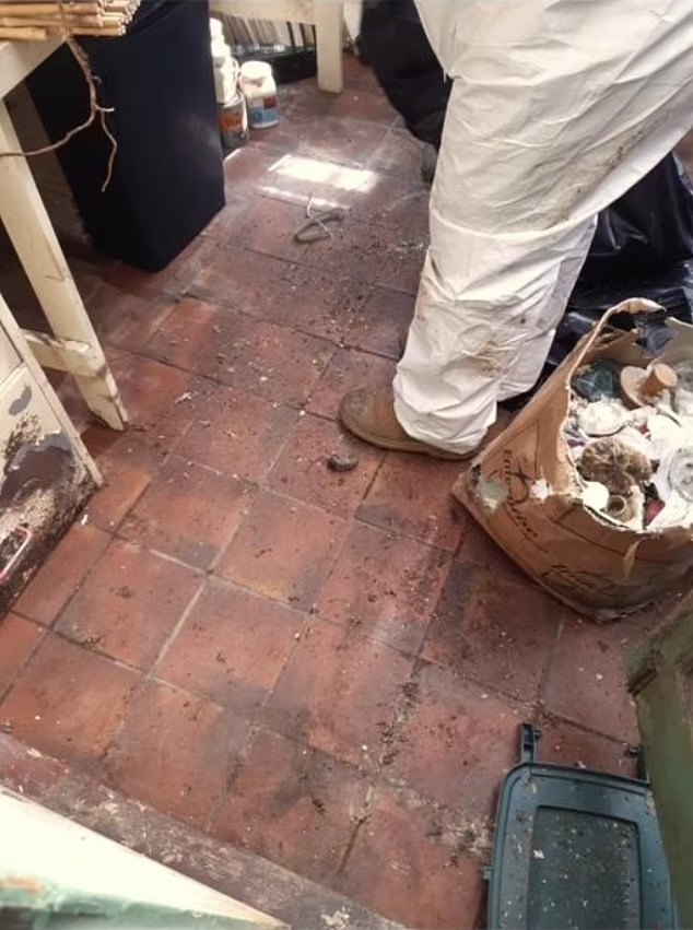 Manzoni屋內地上有死老鼠。(互聯網)