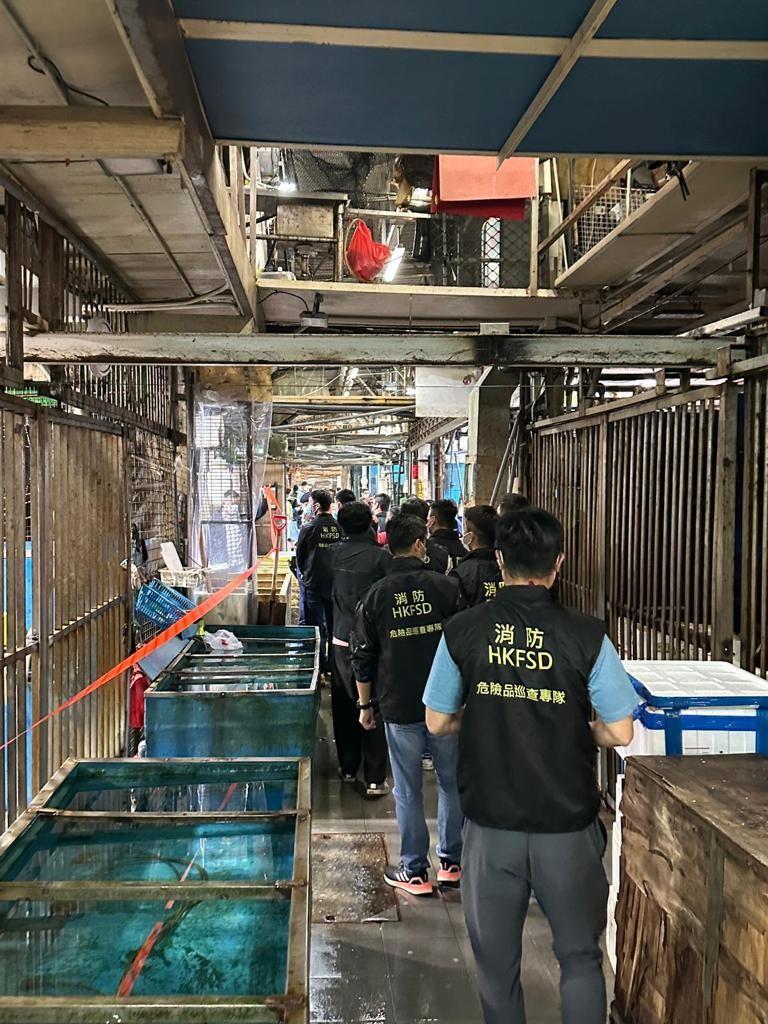 香港仔魚類批發市場有批發商疑合謀定價,競委會與多個部門採聯合行動。