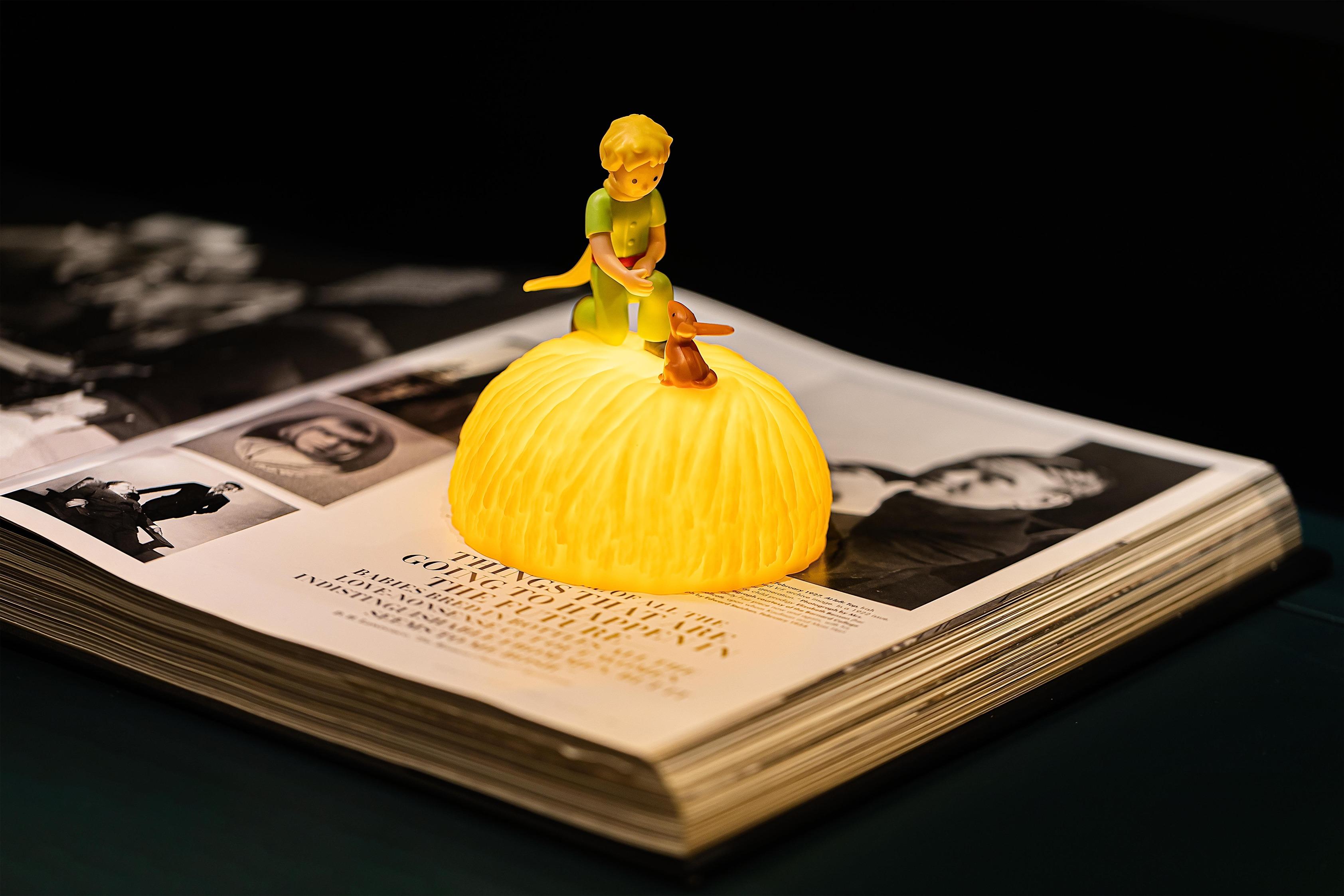 聖誕禮物推薦2022|小王子造型夜燈 $199至$799