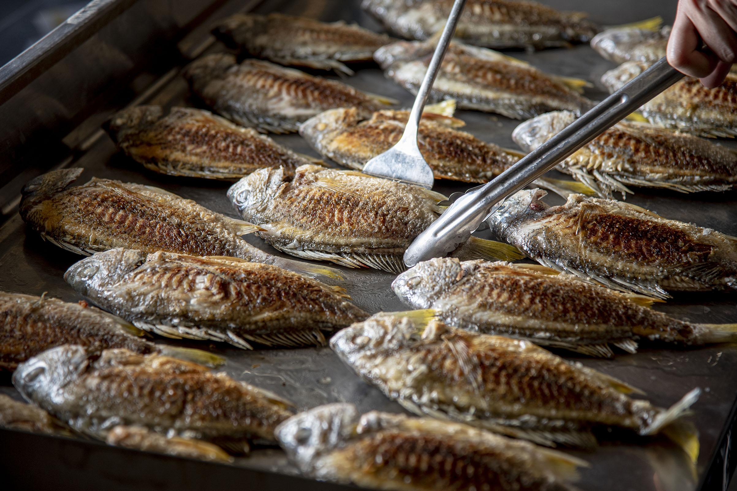 每條新鮮鯛魚煎香