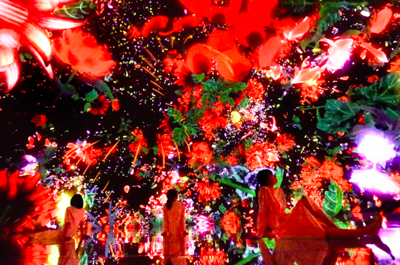 漂浮於落花世界